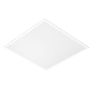 LTP